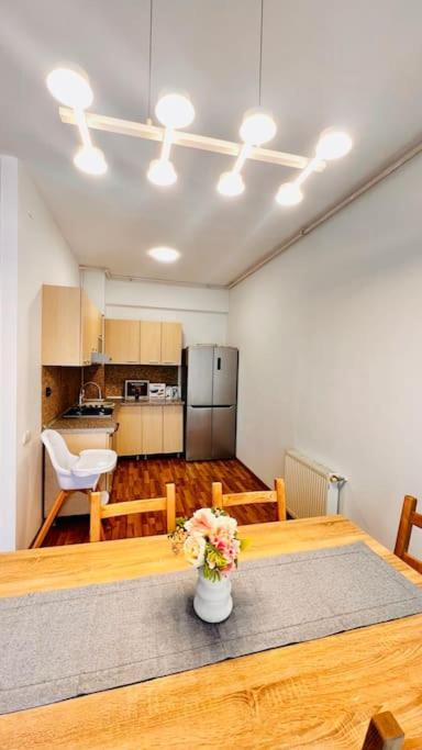 Otopeni Airport Apartment With Private Garden Buitenkant foto