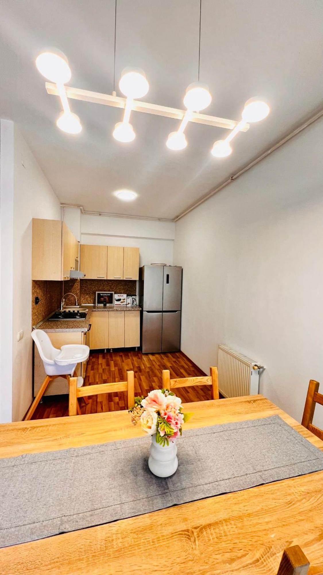 Otopeni Airport Apartment With Private Garden Buitenkant foto